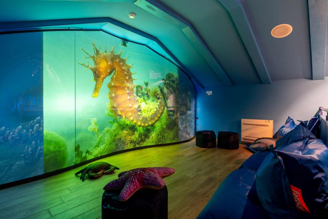 Centar MoreMore u Vrsaru za Svjetski dan turizma otvara vrata uz besplatne ture i radionice o dupinima