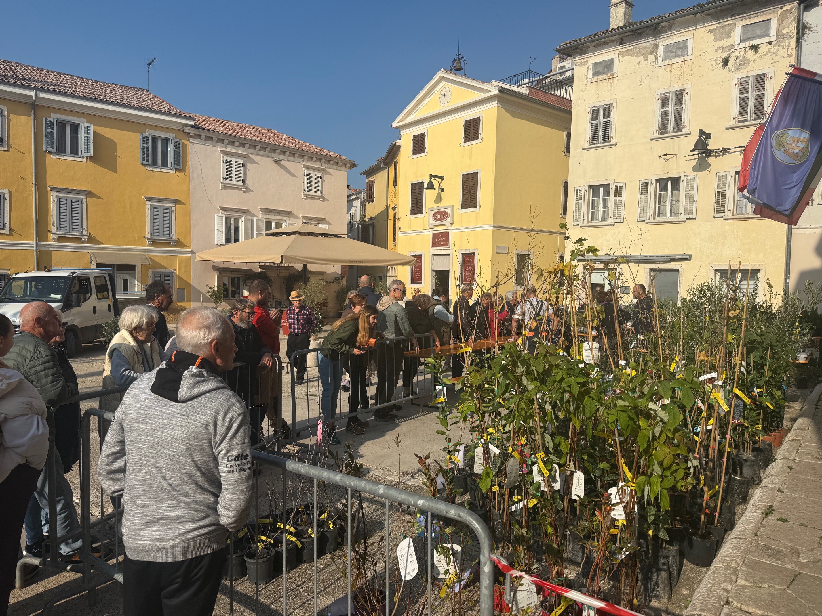 Podjela besplatnih sadnica