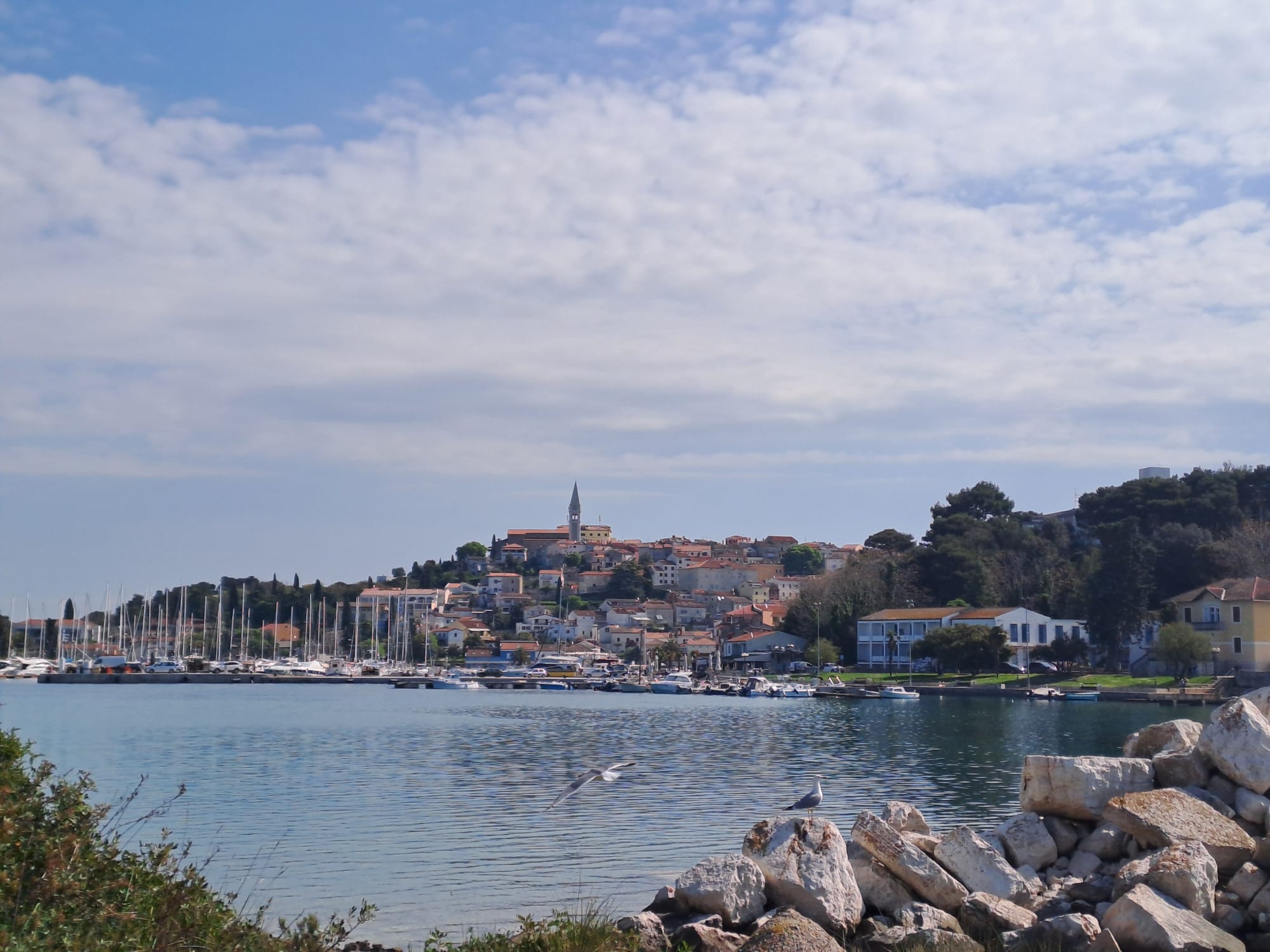 Općina Vrsar-Orsera i TZO Vrsar organiziraju proslavu Praznika rada