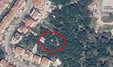 Upozorenje zbog opasnosti od divljih svinja