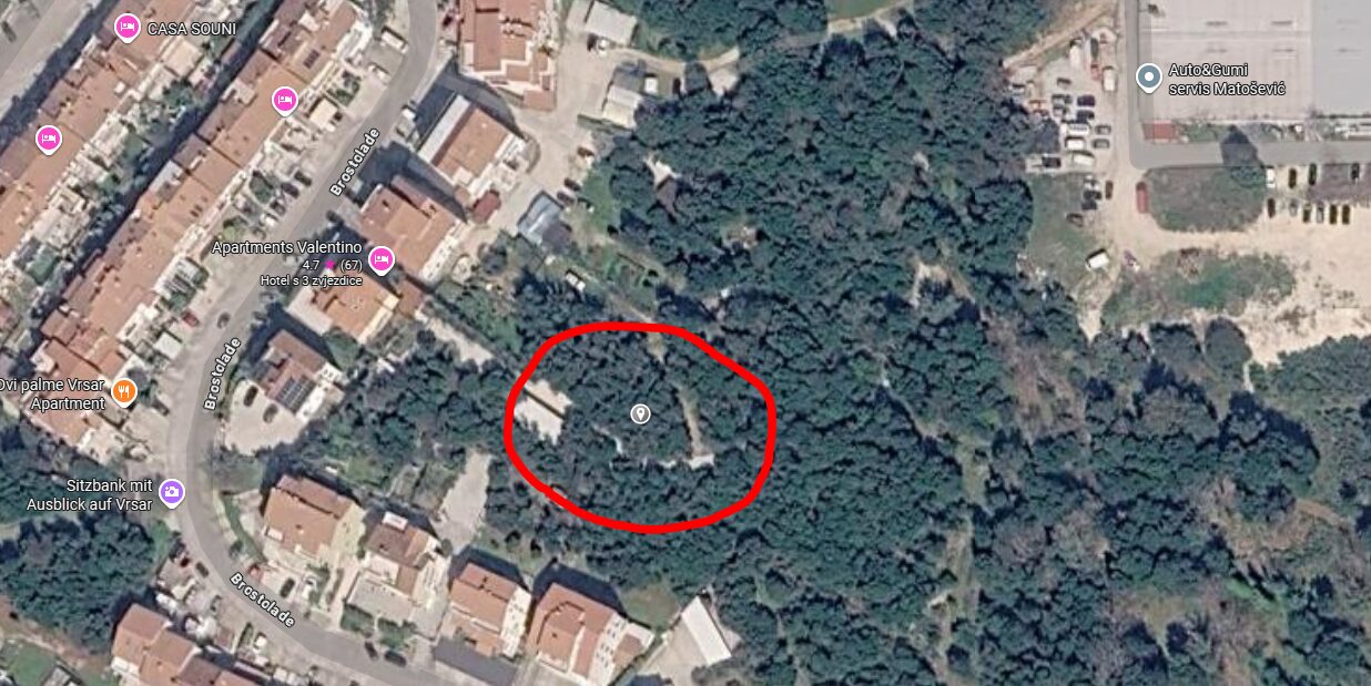 Upozorenje zbog opasnosti od divljih svinja